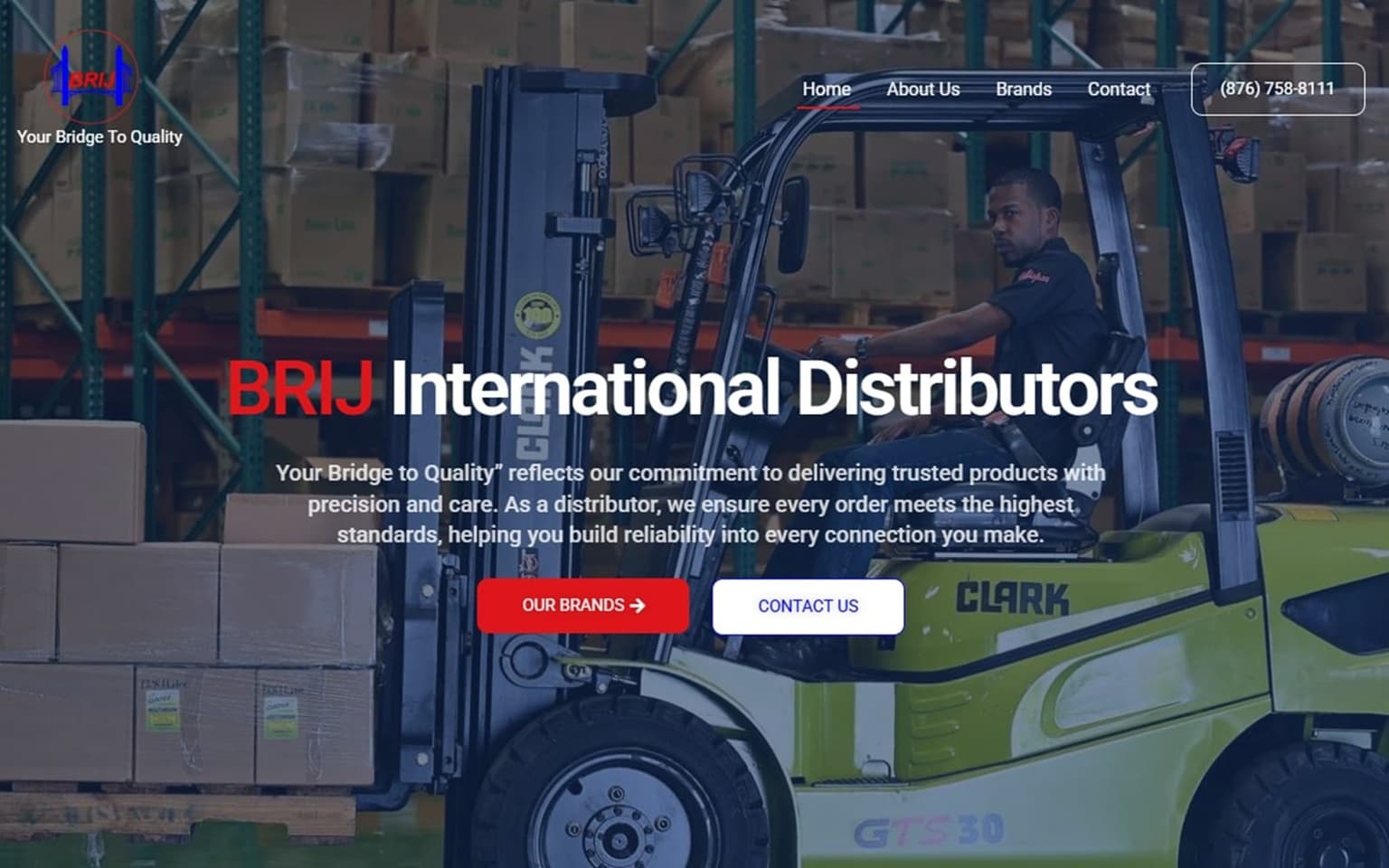 Website Launch